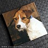 Jack Russell (Rough) Magnetic Note Pad